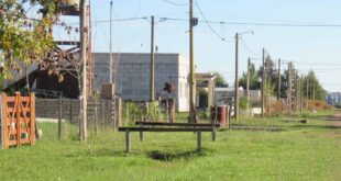 EDESUR YA SUMINISTRA ENERGÍA PARA LA COOPERATIVA DE CARBONI EN EL TALADRO Y ZONAS RURALES DE CAÑUELAS