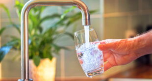 FALLO JUDICIAL: ORDENAN AL MUNICIPIO GARANTIZAR AGUA LIBRE DE AGROTÓXICOS EN LOBOS