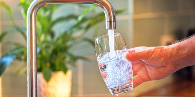 FALLO JUDICIAL: ORDENAN AL MUNICIPIO GARANTIZAR AGUA LIBRE DE AGROTÓXICOS EN LOBOS