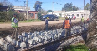 AVANZA A BUEN RITMO LA OBRA DE RENOVACIÓN DE RIELES Y DURMIENTES EN EL RAMAL MERLO-LOBOS: UNA CUADRILLA ESTÁ TRABAJANDO EN NUESTRA CIUDAD