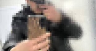 UN ALUMNO DE QUINTO AÑO INGRESÓ ARMADO A UN COLEGIO DE CAÑUELAS: FUE EXPULSADO