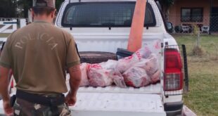 INFORME POLICIAL: UN IMPUTADO POR EL ROBO DE CUATRO VACAS PREÑADAS DE UN ESTABLECIMIENTO RURAL; UNO DE LOS ANIMALES HABÍA SIDO FAENADO