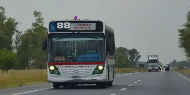 POR LA REDUCCIÓN DE SERVICIOS DEL 88, VIAJAR DE LOBOS A CAÑUELAS LOS FINES DE SEMANA SE CONVIRTIÓ EN UNA ODISEA: LOS DETALLES