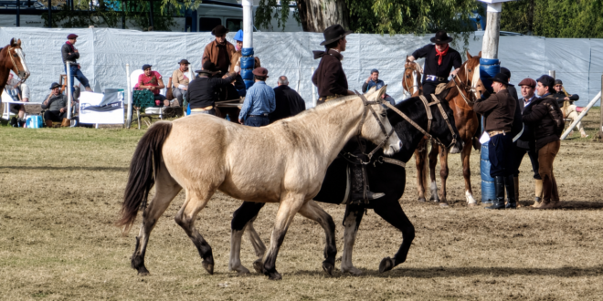 CON MUCHO PÚBLICO EN SU ÚLTIMA JORNADA, SE ESTÁ DESARROLLANDO LA 5° FIESTA GRANDE DE LA TRADICIÓN EN EL CAMPO DE ACUYAI