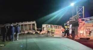 ACCIDENTE EN LA RUTA 205: UN CAMIÓN QUE TRANSPORTABA CERDOS VOLCÓ LUEGO DE MORDER LA BANQUINA