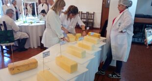 LOBOS FUE SEDE DEL TERCER CONCURSO DE QUESOS BARRA, CON PRODUCTORES DE DISTINTAS ZONAS DEL PAÍS