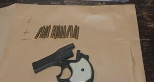 ALLANAMIENTO EN EMPALME LOBOS: SECUESTRAN UNA PISTOLA CALIBRE 22 Y MUNICIONES DE PUNTA HUECA